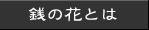 銭の花について